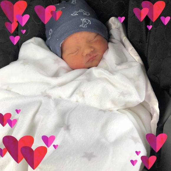 Meet your Posher, Donna - Picture 1 of 1